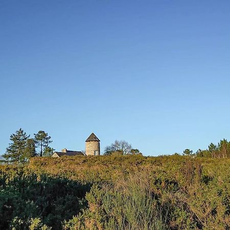 Longere Tinyhouse Avec Son Jardin-Foret Saint-Just  Eksteriør bilde
